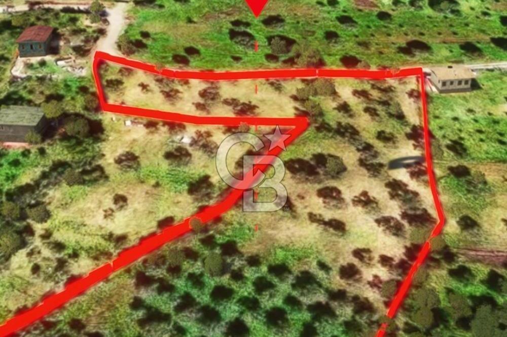 İzmir Torbalı Dağkızılca 7328 m2 Tek Tapu Satılık Tarla