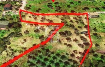 İzmir Torbalı Dağkızılca 7328 m2 Tek Tapu Satılık Tarla