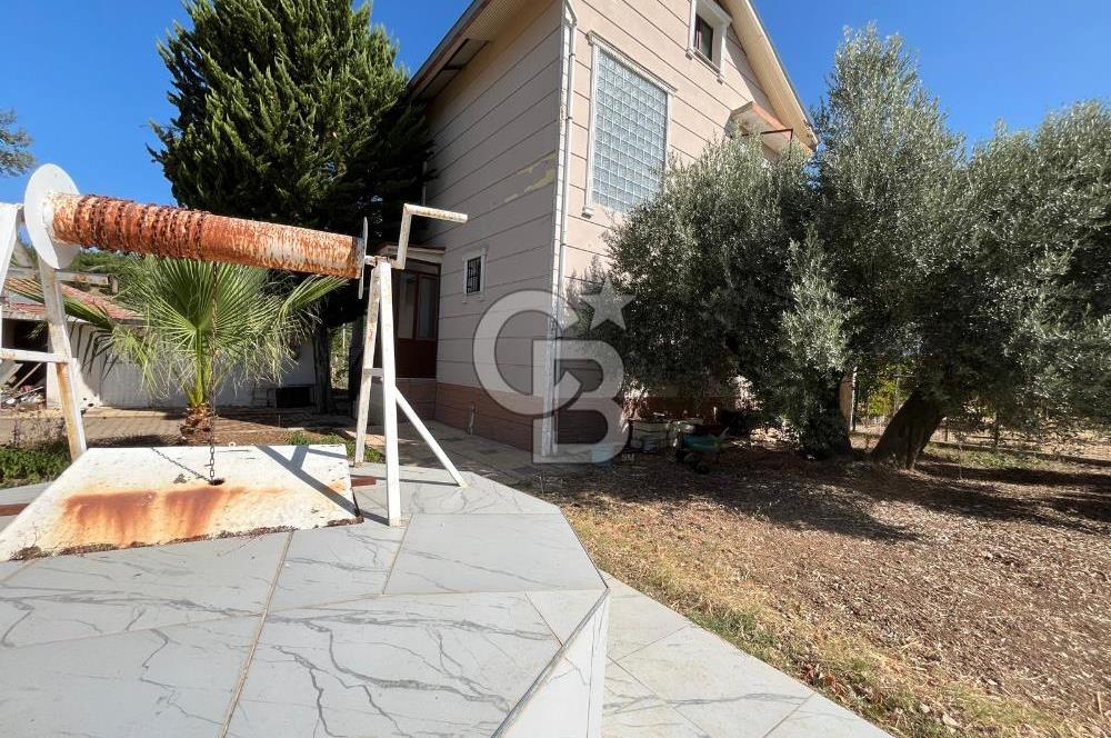Buca Kaynaklar Merkez 2439 m2 Tek Tapu Resmi Evi Olan Satılık Zeytinli Bağ