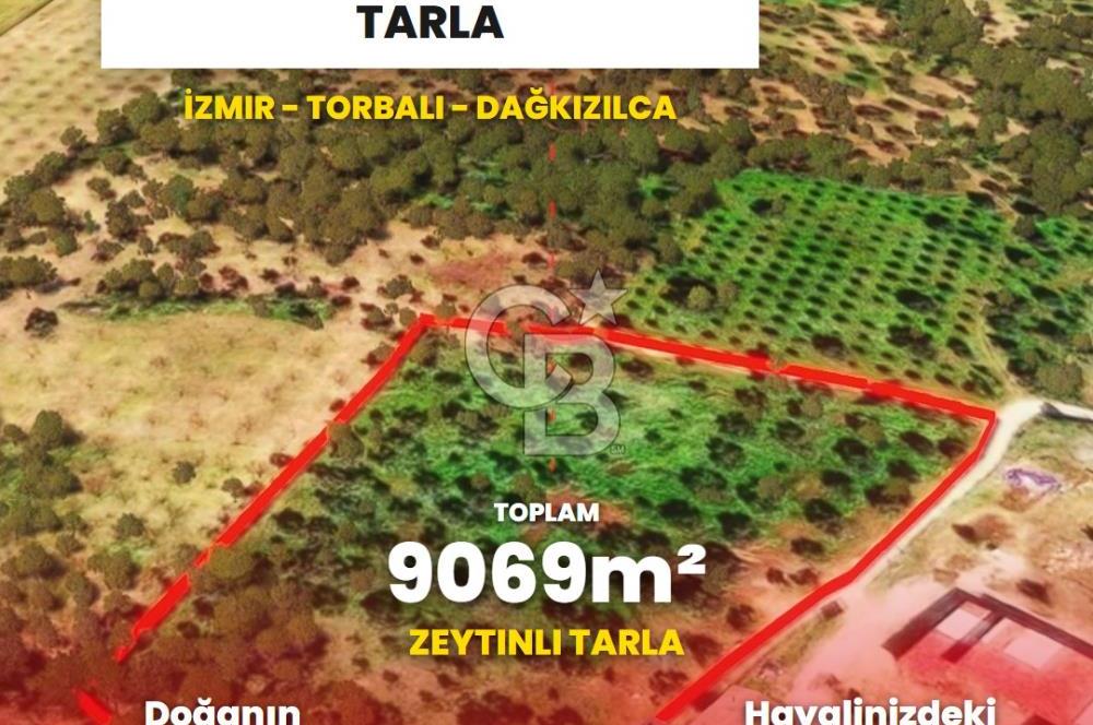İzmir Torbalı Dağkızılca 9070 m2 Tek Tapu Tarla