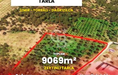 İzmir Torbalı Dağkızılca 9070 m2 Tek Tapu Tarla