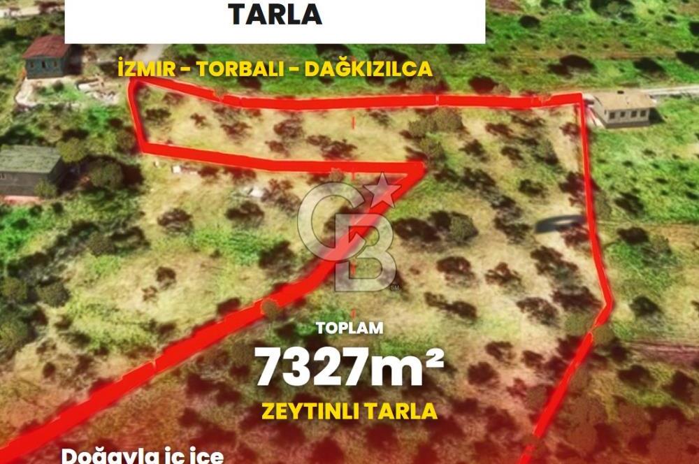 İzmir Torbalı Dağkızılca 7328 m2 Tek Tapu Satılık Tarla