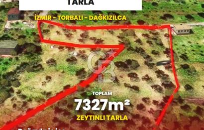 İzmir Torbalı Dağkızılca 7328 m2 Tek Tapu Satılık Tarla