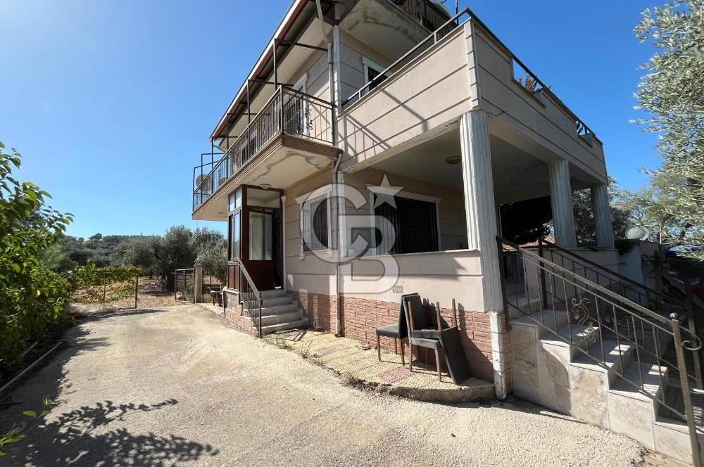 Buca Kaynaklar Merkez 2439 m2 Tek Tapu Resmi Evi Olan Satılık Zeytinli Bağ