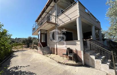 Buca Kaynaklar Merkez 2439 m2 Tek Tapu Resmi Evi Olan Satılık Zeytinli Bağ