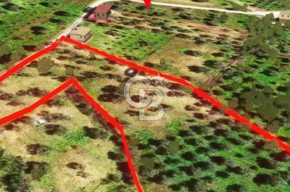 İzmir Torbalı Dağkızılca 7328 m2 Tek Tapu Satılık Tarla