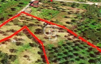 İzmir Torbalı Dağkızılca 7328 m2 Tek Tapu Satılık Tarla
