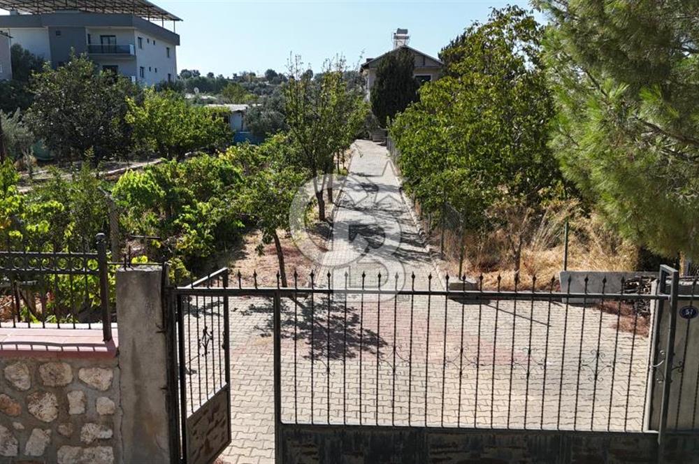 Buca Kaynaklar Merkez 2439 m2 Tek Tapu Resmi Evi Olan Satılık Zeytinli Bağ