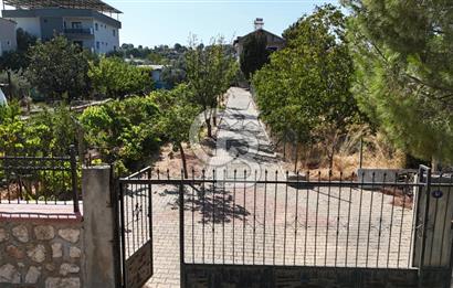 Buca Kaynaklar Merkez 2439 m2 Tek Tapu Resmi Evi Olan Satılık Zeytinli Bağ