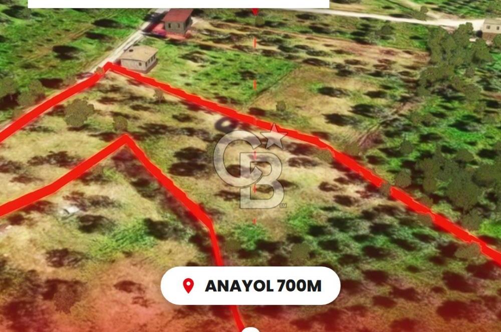 İzmir Torbalı Dağkızılca 7328 m2 Tek Tapu Satılık Tarla