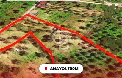 İzmir Torbalı Dağkızılca 7328 m2 Tek Tapu Satılık Tarla