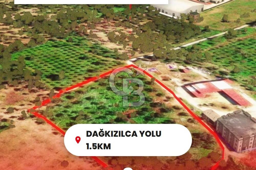 İzmir Torbalı Dağkızılca 9070 m2 Tek Tapu Tarla