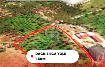 İzmir Torbalı Dağkızılca 9070 m2 Tek Tapu Tarla