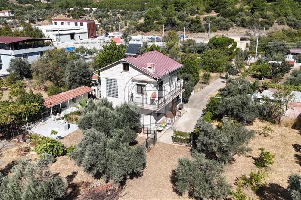 Buca Kaynaklar Merkez 2439 m2 Tek Tapu Resmi Evi Olan Satılık Zeytinli Bağ