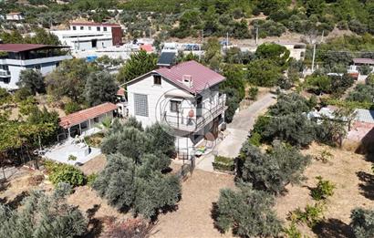 Buca Kaynaklar Merkez 2439 m2 Tek Tapu Resmi Evi Olan Satılık Zeytinli Bağ