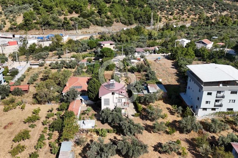 Buca Kaynaklar Merkez 2439 m2 Tek Tapu Resmi Evi Olan Satılık Zeytinli Bağ