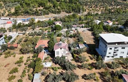 Buca Kaynaklar Merkez 2439 m2 Tek Tapu Resmi Evi Olan Satılık Zeytinli Bağ