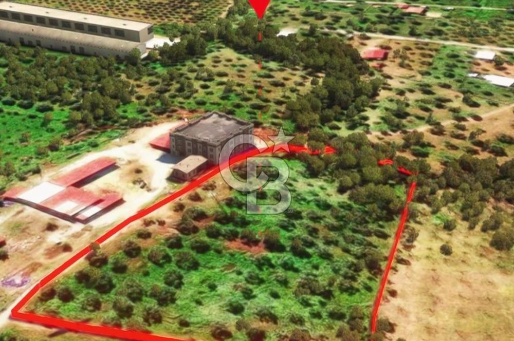 İzmir Torbalı Dağkızılca 9070 m2 Tek Tapu Tarla
