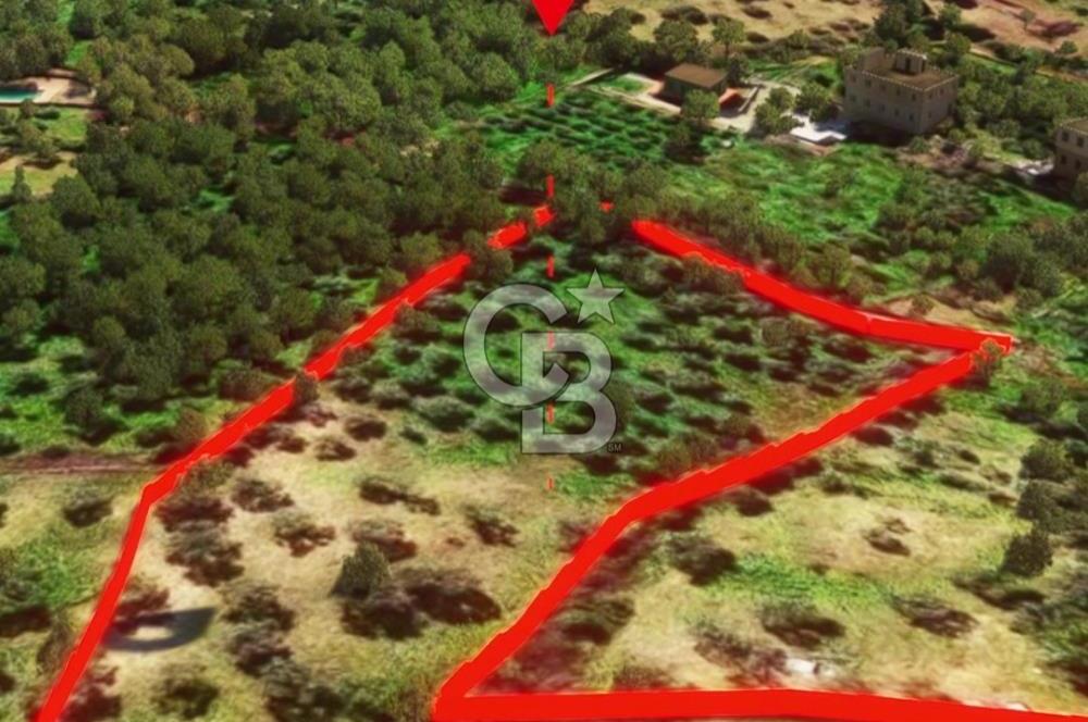 İzmir Torbalı Dağkızılca 7328 m2 Tek Tapu Satılık Tarla