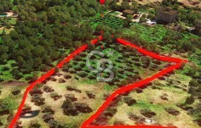 İzmir Torbalı Dağkızılca 7328 m2 Tek Tapu Satılık Tarla