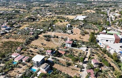 Buca Kaynaklar Merkez 2439 m2 Tek Tapu Resmi Evi Olan Satılık Zeytinli Bağ