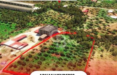 İzmir Torbalı Dağkızılca 9070 m2 Tek Tapu Tarla