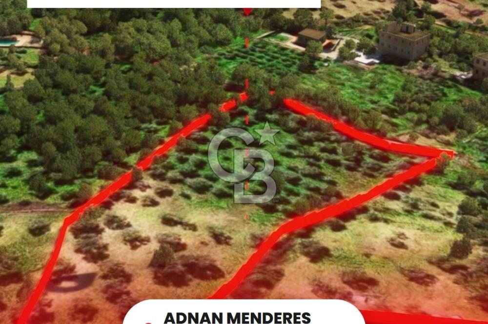 İzmir Torbalı Dağkızılca 7328 m2 Tek Tapu Satılık Tarla