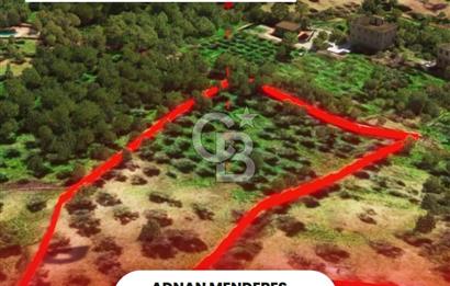 İzmir Torbalı Dağkızılca 7328 m2 Tek Tapu Satılık Tarla