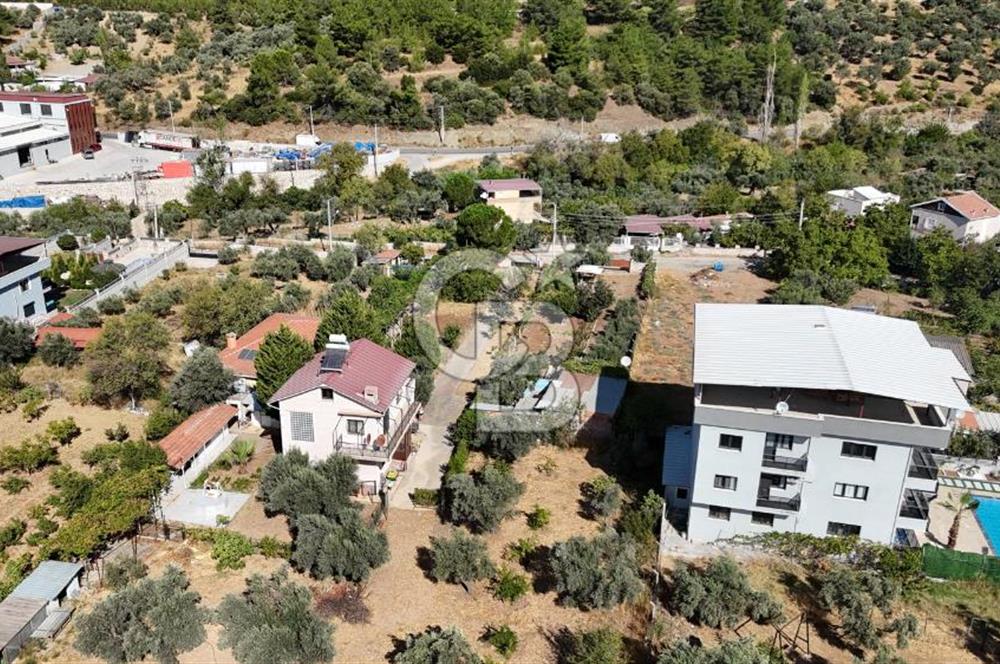 Buca Kaynaklar Merkez 2439 m2 Tek Tapu Resmi Evi Olan Satılık Zeytinli Bağ