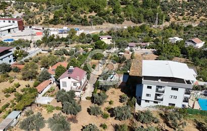 Buca Kaynaklar Merkez 2439 m2 Tek Tapu Resmi Evi Olan Satılık Zeytinli Bağ