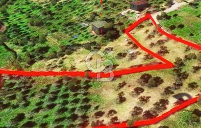 İzmir Torbalı Dağkızılca 7328 m2 Tek Tapu Satılık Tarla