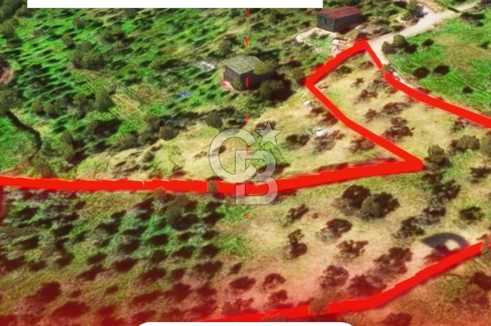 İzmir Torbalı Dağkızılca 7328 m2 Tek Tapu Satılık Tarla