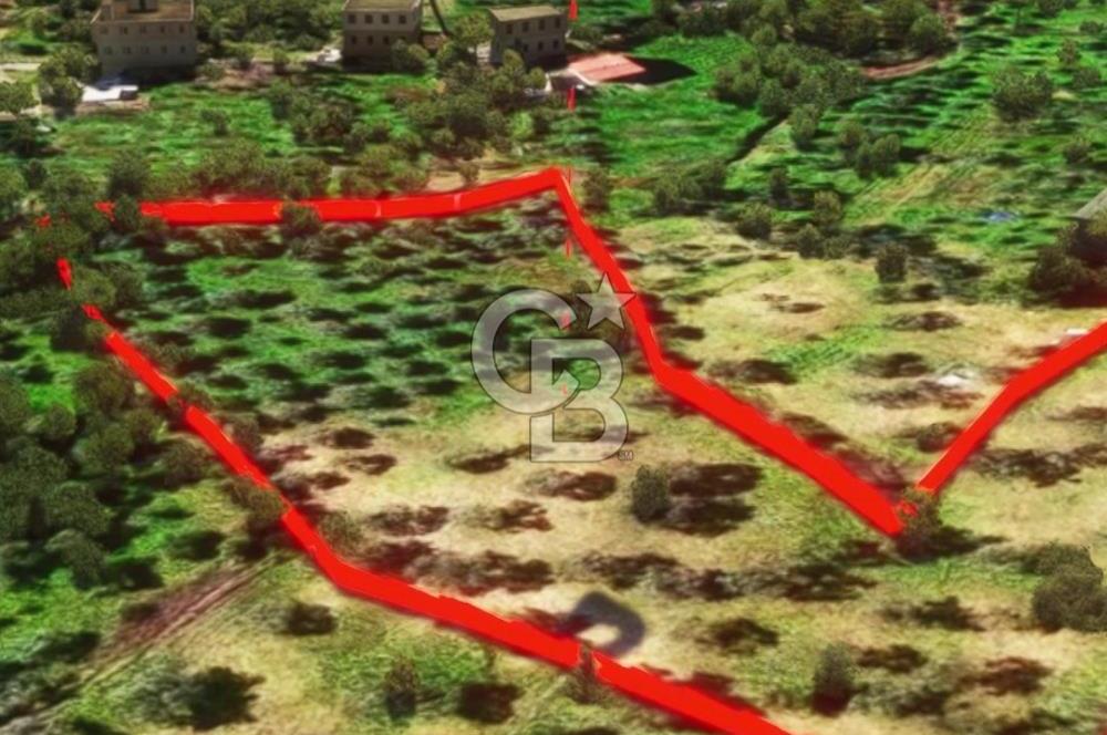 İzmir Torbalı Dağkızılca 7328 m2 Tek Tapu Satılık Tarla