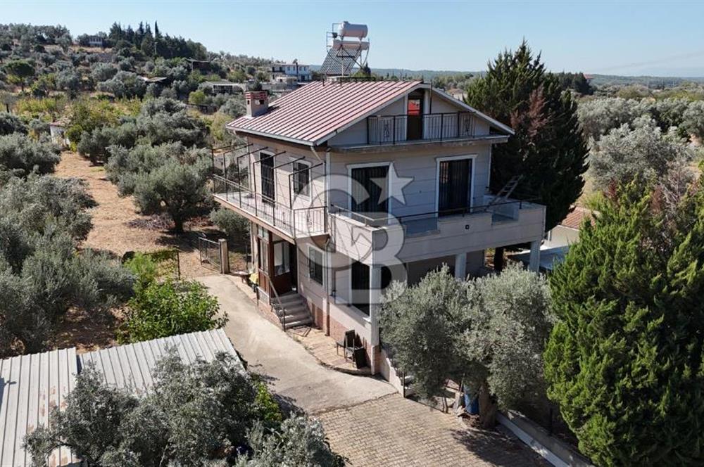 Buca Kaynaklar Merkez 2439 m2 Tek Tapu Resmi Evi Olan Satılık Zeytinli Bağ