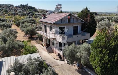Buca Kaynaklar Merkez 2439 m2 Tek Tapu Resmi Evi Olan Satılık Zeytinli Bağ