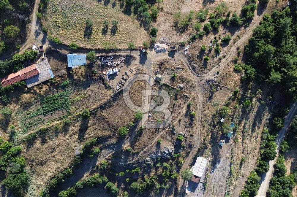 ÇANAKKALE MERKEZ TERZİLER KÖYÜNDE SATILIK TARLA
