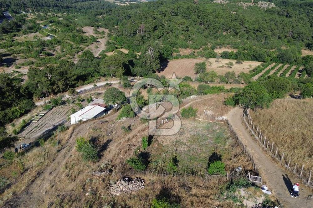 ÇANAKKALE MERKEZ TERZİLER KÖYÜNDE SATILIK TARLA