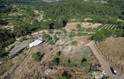 ÇANAKKALE MERKEZ TERZİLER KÖYÜNDE SATILIK TARLA