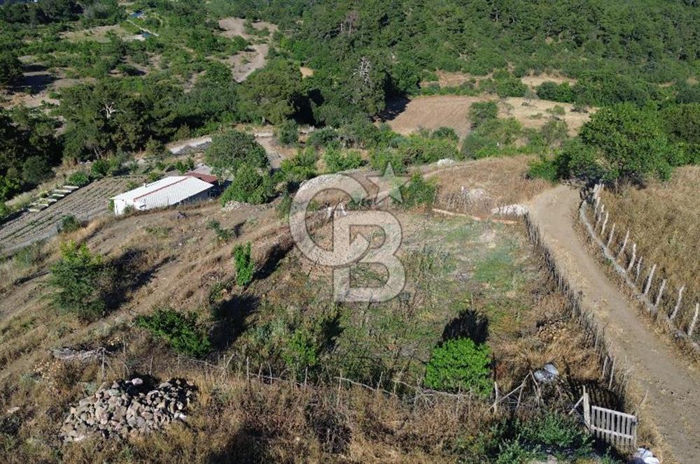 ÇANAKKALE MERKEZ TERZİLER KÖYÜNDE SATILIK TARLA