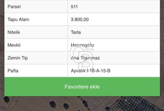 EZİNE KUMBURUNDA EŞSİZ KONUMDA SATILIK TARLA - 7 - 371591