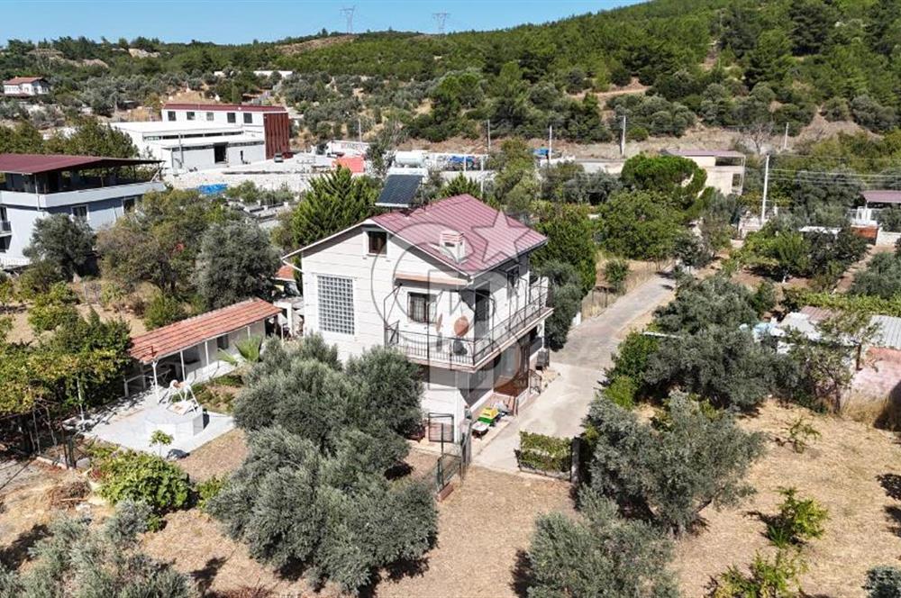 Buca Kaynaklar Merkez 2439 m2 Tek Tapu Resmi Evi Olan Satılık Zeytinli Bağ