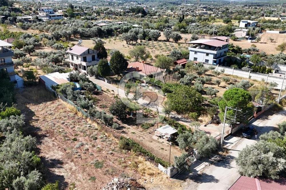 Buca Kaynaklar Merkez 2439 m2 Tek Tapu Resmi Evi Olan Satılık Zeytinli Bağ