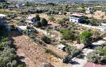 Buca Kaynaklar Merkez 2439 m2 Tek Tapu Resmi Evi Olan Satılık Zeytinli Bağ