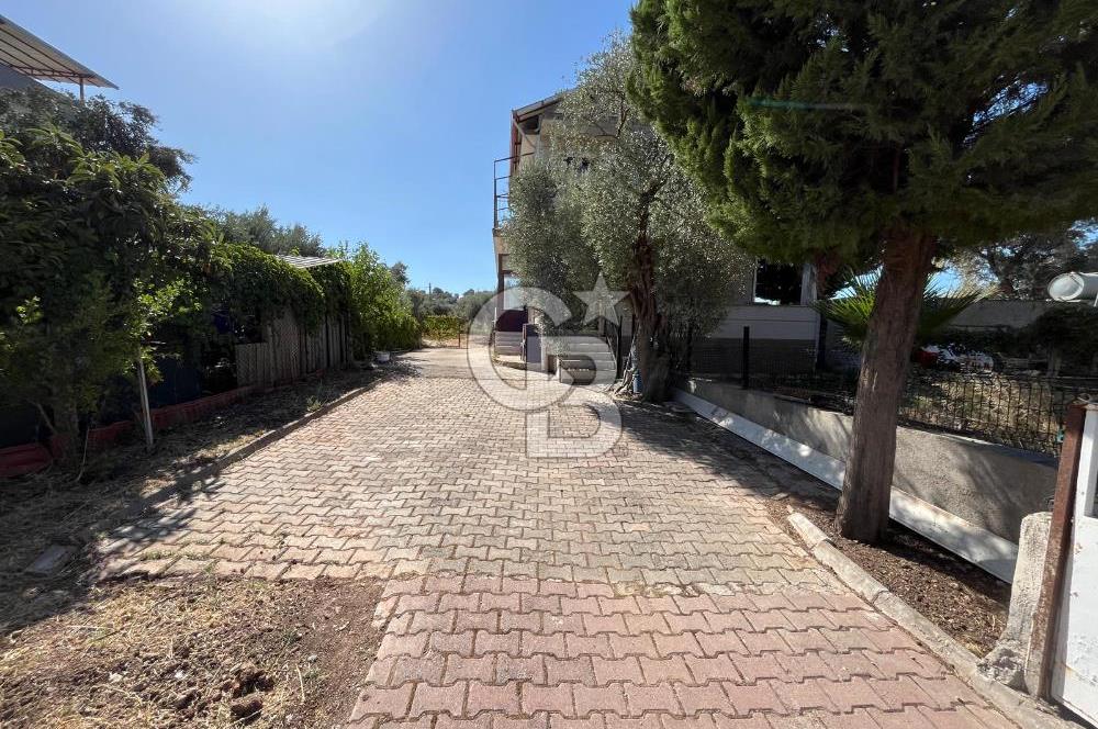 Buca Kaynaklar Merkez 2439 m2 Tek Tapu Resmi Evi Olan Satılık Zeytinli Bağ