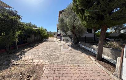 Buca Kaynaklar Merkez 2439 m2 Tek Tapu Resmi Evi Olan Satılık Zeytinli Bağ