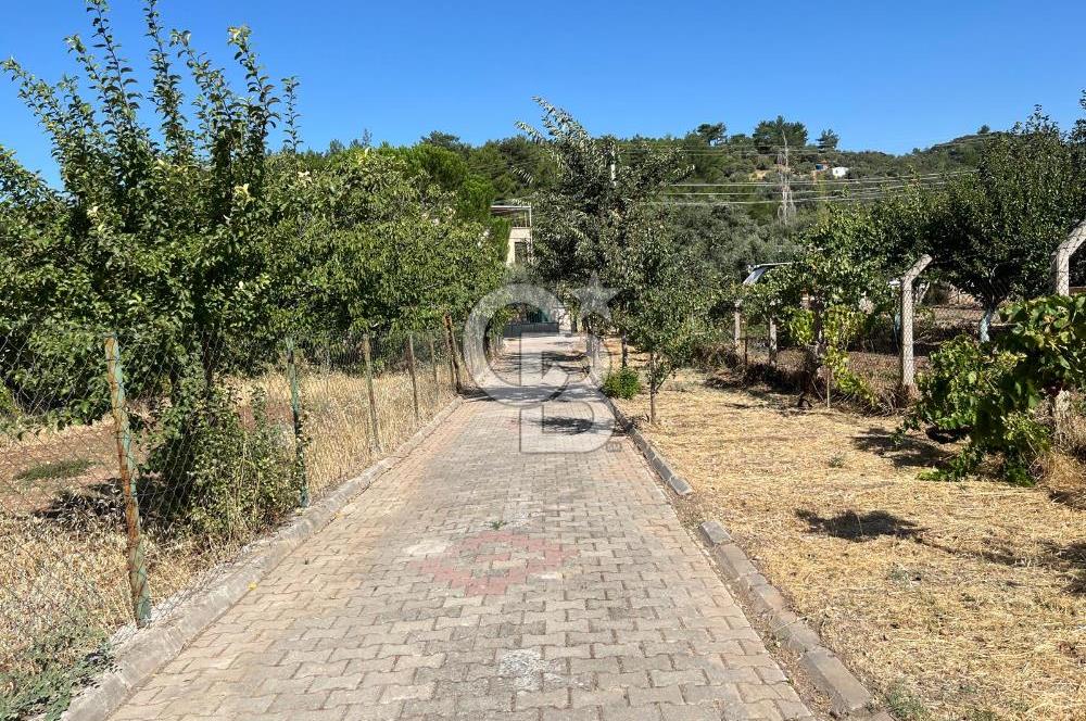 Buca Kaynaklar Merkez 2439 m2 Tek Tapu Resmi Evi Olan Satılık Zeytinli Bağ