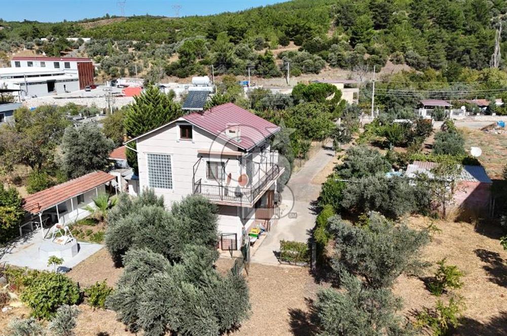 Buca Kaynaklar Merkez 2439 m2 Tek Tapu Resmi Evi Olan Satılık Zeytinli Bağ