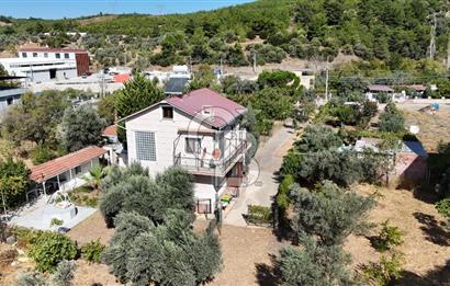 Buca Kaynaklar Merkez 2439 m2 Tek Tapu Resmi Evi Olan Satılık Zeytinli Bağ