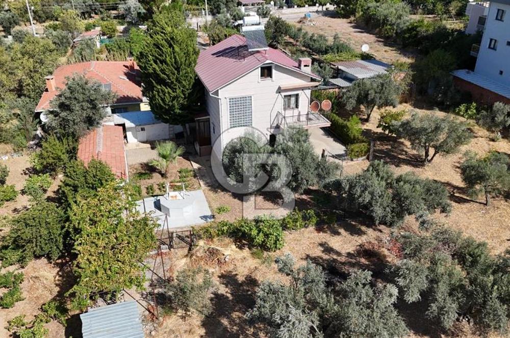 Buca Kaynaklar Merkez 2439 m2 Tek Tapu Resmi Evi Olan Satılık Zeytinli Bağ