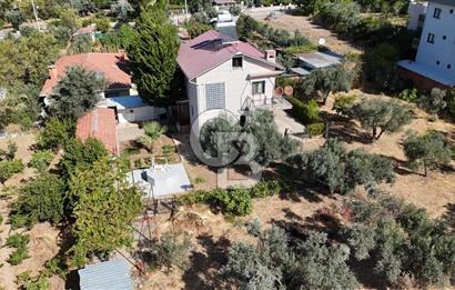 Buca Kaynaklar Merkez 2439 m2 Tek Tapu Resmi Evi Olan Satılık Zeytinli Bağ